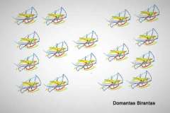 Domantas-Birantas-5kl..2020m